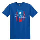 Borinquen me llama
